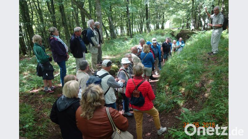 Am Hartmannsweilerkopf, einem Scchlachtfeld des 1. Weltkriegs, stehen die Teilnehmer der Studienfahrt in einem ehemaligen Laufgraben, als der Führer das System der 90 Kilometer langen Lauf- und Schützengräben erläutert. Die Bäume sind alle jung, denn 1918 war der Berg vom ständigen Beschuss völlig kahl und verwüstet COG