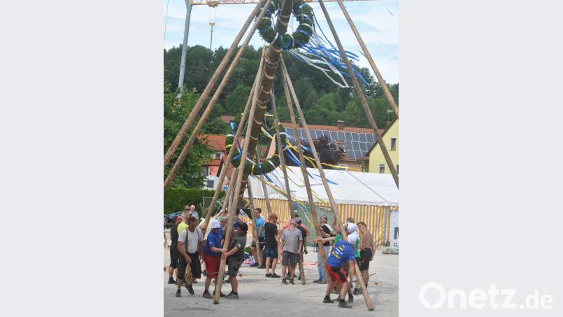Mit den sogenannten Schwalben wuchten die Burschen und ihre Helfer den Baum in die Senkrechte. no