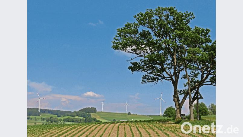 Die Idylle trügt. Der Windpark bei Ellenfeld ist bei Naturschützern in die Kritik geraten. Nun prüft ein externer Gutachter, ob es dort eine Population von geschützten Rotmilanen gibt. Bild: tr tr