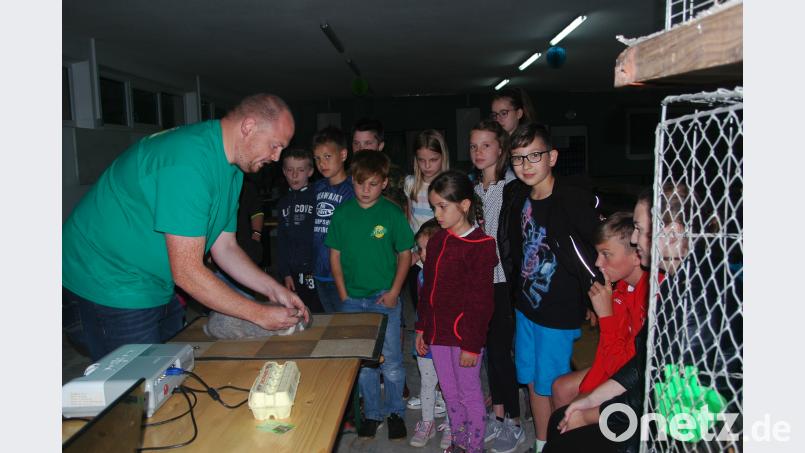 Eine staunende Kinderschar: Fasziniert sahen die Mädchen und Buben, die auf Einladung der CSU ins Heim der Kleintierzüchter gekommen waren, Züchter Alexander Sporr bei seinen Erläuterungen zur Pflege und Zucht von Hasen zu. do
