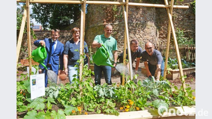 Bewässern und ernten: Bürgermeister Jens Meyer, Christine Egeter, Bauhof-Chef Björn Schffczyk, Stefan Dürgner und Thomas Huber (von links) bei der Gartenarbeit. Schönberger, Gabi [gsb] (<a href=