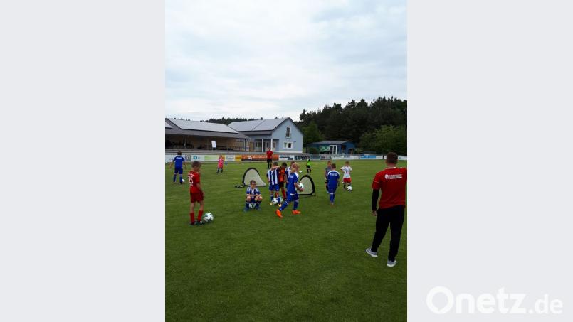 Viel Spaß hatten die 46 Kinder und Jugendlichen des Fußballcamps bei unterschiedlichen Trainingsspielen, Geschicklichkeitsübungen und Wettbewerben. Mayer, Doris [MYD]