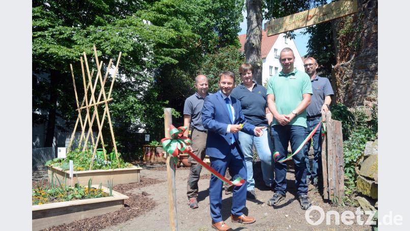 Seit Dienstag hat der "Städtische Garten" offiziell geöffnet. Stefan Dürgner, Bürgermeister Jens Meyer, Christine Egeter, Bauhof-Chef Björn Scheffczyk und Thomas Huber (von links) geben die Nutzung frei. Schönberger, Gabi [gsb] (gabriele.schoenberger@oberpfalzmedien.de)