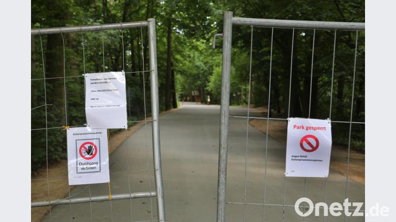Nachdem im Wild- und Freizeitpark Höllohe ein Befall mit dem Eichenprozessionsspinner festgestellt wurde, entschied sich das Landratsamt dafür, den Park komplett zu sperren. Bild: Gerhard Götz