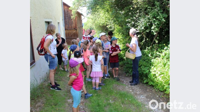 Die Kinder waren ganz begeistert von der Kräuterwanderung, die Monika Ermer rund um Altfalter organisiert hatte. exb