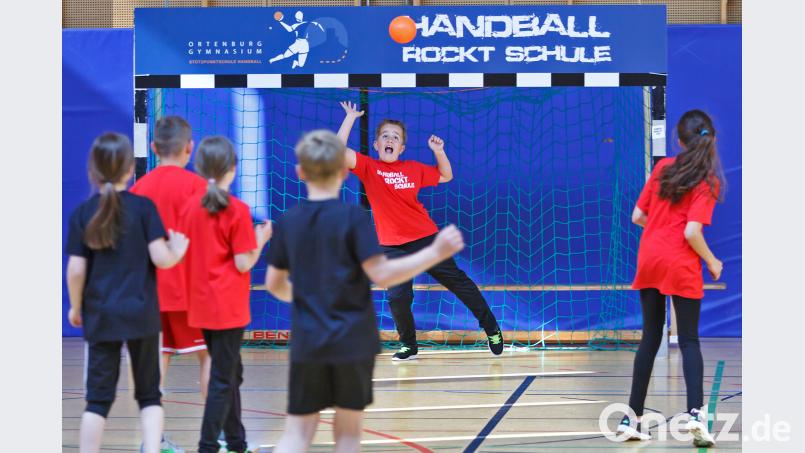 Viel Spaß hatten die Viertklässler beim Handball-Grundschul-Turnier in Oberviechtach. gud