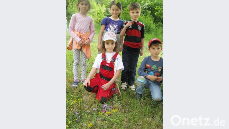 Den Erstklässlern und den Vorschulkindern bereitet der gemeinsame Wiesentag viel Freude. no