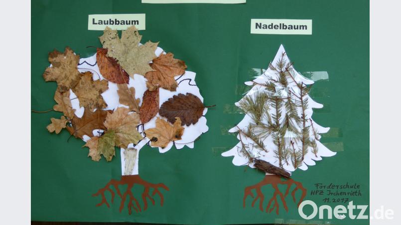 Die erstmals teilnehmende HPZ-Klasse hat zum Dank ein Naturbild erstellt Schönberger, Ferdinand [FSB]