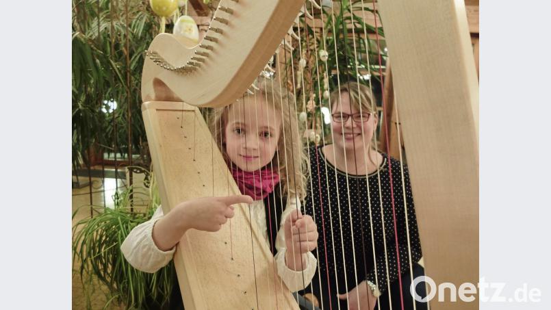 Auch nichtalltägliche Instrumente wie Harfe kann man an der Musikschule Marktredwitz  erlernen. exb