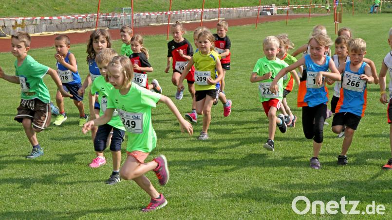 Nicht nur die Erwachsenen haben ihre Freude beim Burglauf. Spaß macht das sportliche Kräftemessen genauso den Bambinis, wie hier im vergangenen Jahr. nm