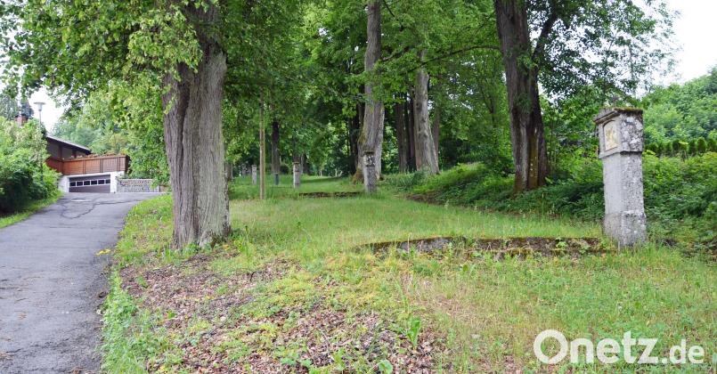 Das Naturdenkmal Lindenallee ist nach Meinung einiger Bürger nicht gepflegt. Manche beklagen sich darüber, dass die Stufen der Kreuzwegstationen kaum begehbar seien. rfü