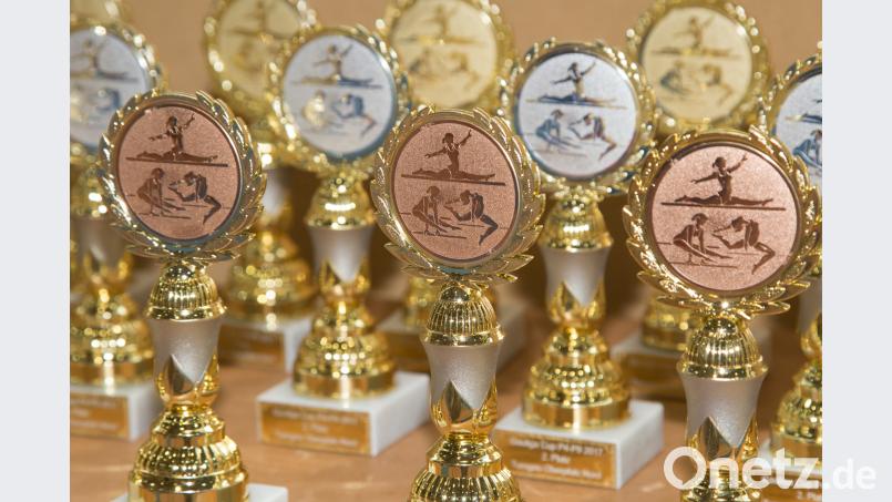 Pokale und Urkunden warten auf die 127 jungen Turnerinnen und Turner, die sich zum Turn-Cup in Erbendorf angemeldet haben. Wellenhöfer, Roland [RW]