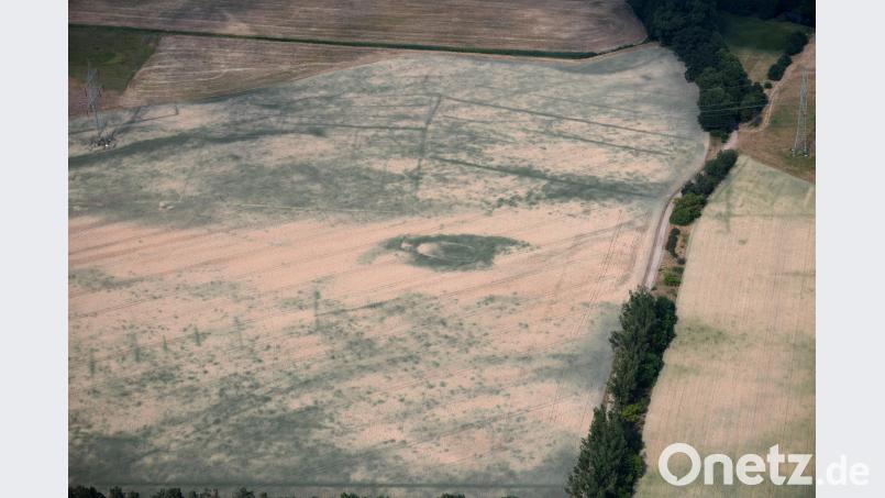 Das Gesicht des Frühlings 2018: Teile eines Feldes in Brandenburg sind Ende Mai wegen der Hitze bereits braun gefärbt und vertrocknet. Ralf Hirschberger/dpa