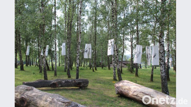 Kunstaktion im Wald: Im Birkenwäldchen wurden von der Gruppe  Fahnen aufgehängt. Thomas Dobler