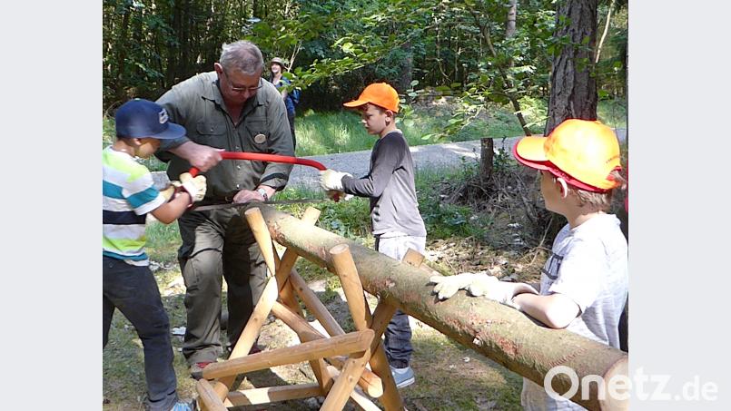 Das „pfundige Sägespiel“ ist gar nicht so einfach. Schönberger, Ferdinand [FSB] (<a href=
