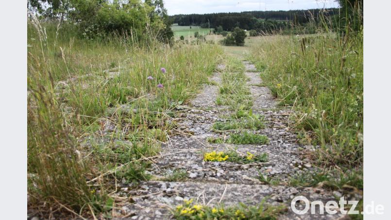 Ein sogenannter Kolonnenweg führt in die Landschaft. Früher befand sich hier die innerdeutsche Grenze. Katrin Mädler/dpa