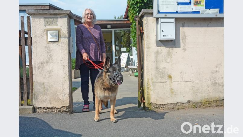 Monika Gatzky geht regelmäßig mit Nelly spazieren. Gabi Schönberger