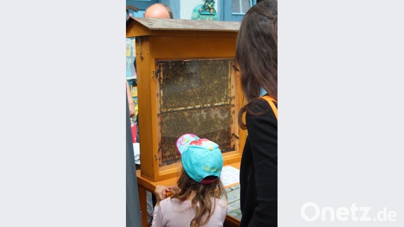 Intersaant ist es auch, die Bienen zu beobachten. stg