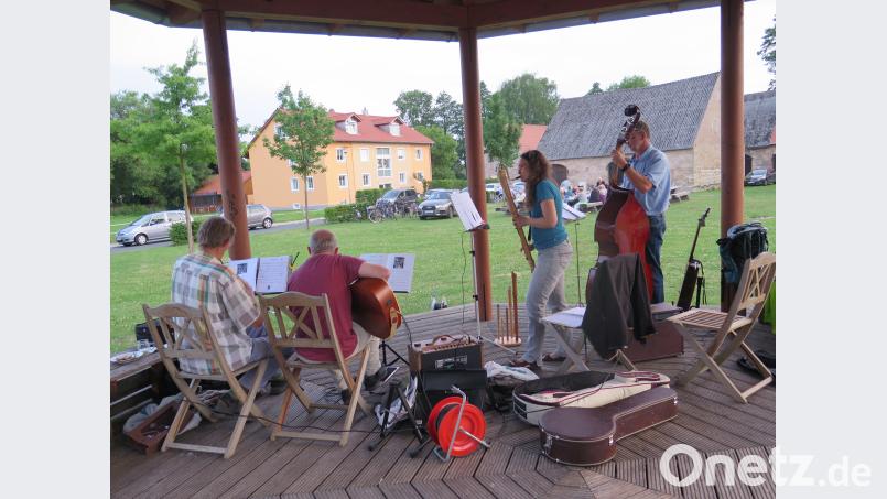 Hans Liedtke, Katrin Zink, Roland Amm und Siegfried Zaus (von links) ist die Freude am Musizieren anmerken. jzk