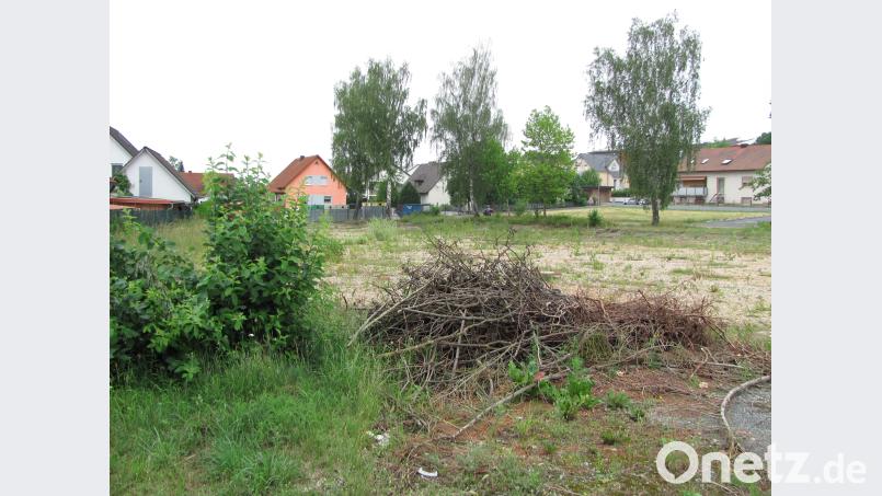 Bis auf Bäume und Unkraut wächst nichts auf dem ehemaligen Festplatz, wo einmal ein Seniorenheim stehen soll. In Mantel mehren sich die Stimmen, dass daraus nichts mehr wird und der Grund an die Marktgemeinde zurückfällt. Seifried