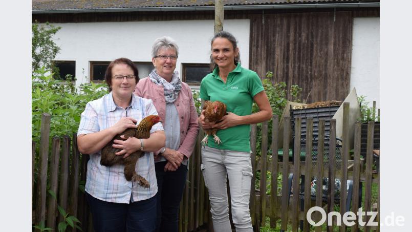 Der Umgang mit Tieren ist den Erlebnisbäuerinnen Christa Fritsch (links) und Christa Müller (rechts) auf den Leib geschrieben. In ihrer pädagogischen Arbeit werden sie von Annemarie Frank (Mitte) vom Landwirtschaftsamt unterstützt. Bild: bnr