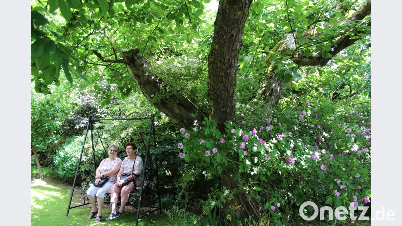 Die zahlreichen Gäste durften sich nicht nur ausgiebig umsehen sondern bekamen auch ihre Fragen gerne beantwortet. Und eine kleine Pause unter den Obstbäumen kam bei den sommerlichen Temperaturen sehr gelegen. heb