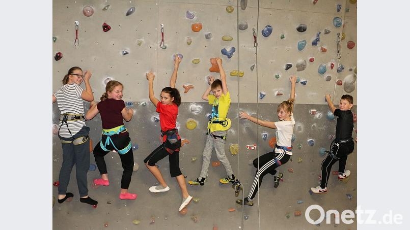 Fünf Sportarten zum Ausprobieren und Mitmachen stehen beim Sporttag des TSV Friedenfels zur Auswahl. Am imposanten „Berg“ mit seinen über 70 Quadratmetern und über 800 Griffen (Bild)   weisen zahlreiche Routen zum &quot;Gipfel&quot; im Dach der Steinwaldhalle. bsc