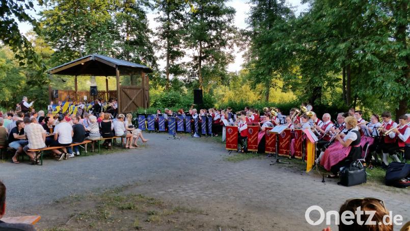 Perlen der Blasmusik servieren am laufenden Band in der Neustädter Freizeitanlage (von rechts) der Musikverein Wiesau, die Jugendkapelle Roggenstein, die Stadtkapelle Neustadt und die Jugendblaskapelle Parkstein. kwl