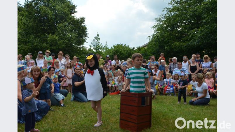 Wer mit dem Boot über das Meer schippert wie Bootsmann Andreas Wurzer (rechts) begegnet sogar einem Pinguin. dob