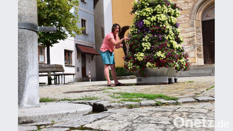 Schmidmühlens Gartenbauvereinsvorsitzende Petra Tischler schaut nach einer erneuten Gewitternacht bei der Blumenpyramide am Marktplatz nach dem Rechten. Zum Glück war &quot;alles in Ordnung&quot;. bö