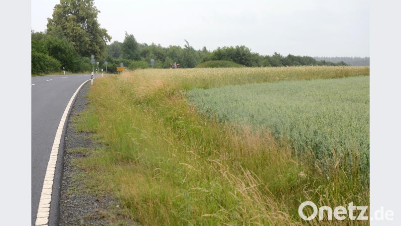 Auf diesem Gerstenfeld am oberen Ende des Breiten Wegs kurz vor der A 93 möchte ein Münchner Investor eine Photovoltaikanlage installieren. Die meisten Stadträte halten davon wenig. Schönberger