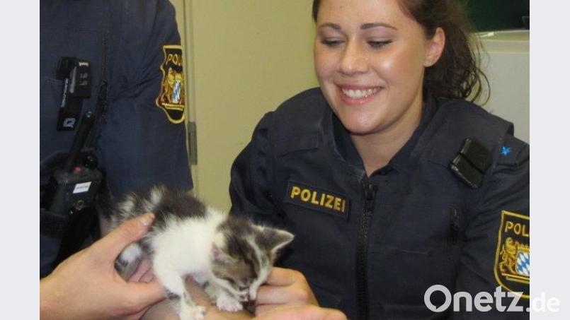Diese beiden Polizeibeamten kümmerten sich am Dienstagabend um das Katzenbaby exb