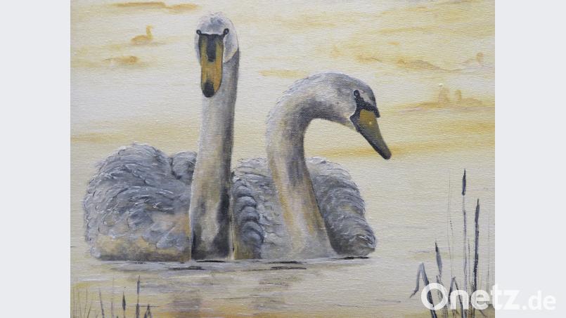 Das schöne Schwanen-Gemälde von Angelika Sticht kann momentan unter anderem im Laufer Landratsamt bewundert werden. ubb
