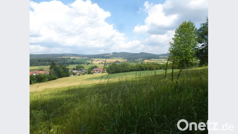Weitläufiger Blick über das Schwarzachtal. mad