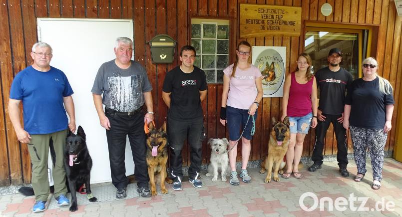 Vorzügliche Leistungen zeigten die Vierbeiner bei der Ortshundeprüfung des Schäferhundevereins Weiden. Vorsitzende Silvia Kromp (rechts) und Prüfungsleiter Michael Lindner (Zweiter von rechts) lobten die hervorragenden Ergebnissen. Bild: Dobmeier rdo
