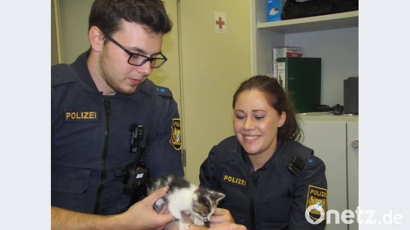 Zwei Beamte der Polizeiinspektion Sulzbach-Rosenberg nahmen das kleine Kätzchen zunächst in ihre Obhut. Polizei