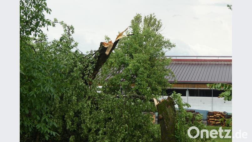 Unwetter. Ilse Hauer