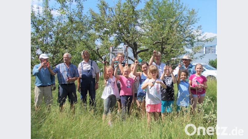 Die Kümmersbrucker Grundschüler dürfen mit Gartenscheren auch mal selbst an den Bäumen rumschnippeln. gk
