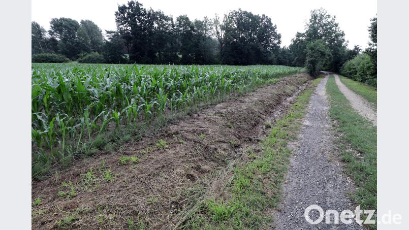 Wolfgang Steinbacher