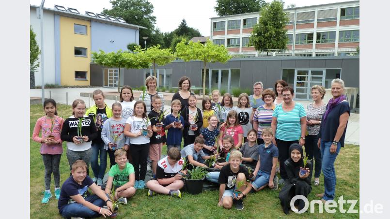 Die Klasse 4a der Doktor-Eisenbarth-Grundschule setzte im Pausenhof kleine Maispflanzen in selbst bemalte Töpfe. Damit wurde bei der Projektwoche „Verwandlung, Leid, Tod und Trauer“ der Gedanke sichtbar gemacht, dass immer wieder neues Leben entsteht. Rektorin Beate Vetterl (hinten, von links) und Klassenlehrerin Manuela Hellmuth wurden von den Ehrenamtlichen der Hospizinitiative der Caritas für den Landkreis Schwandorf mit der stellvertretenden Leiterin Manuela Singer-Bartos (rechts) unterstützt. Portner