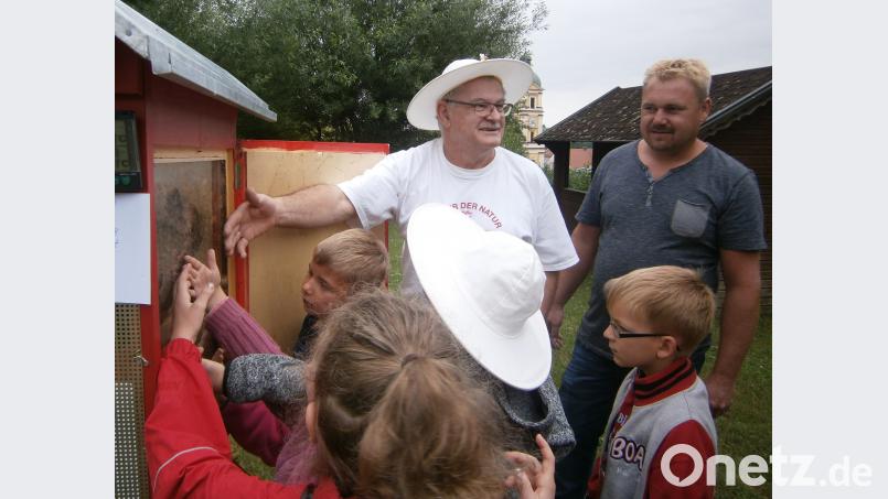 Die Imker Hans Gschrey und Harald Eckert waren mit viel Anschauungsmaterial angereist. exb