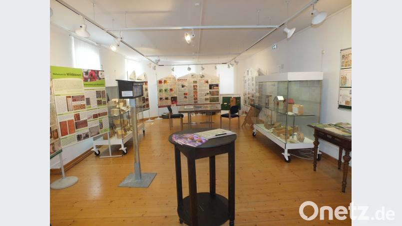 Noch bis 9. September ist die Sonderausstellung zu sehen. Harald Mohr