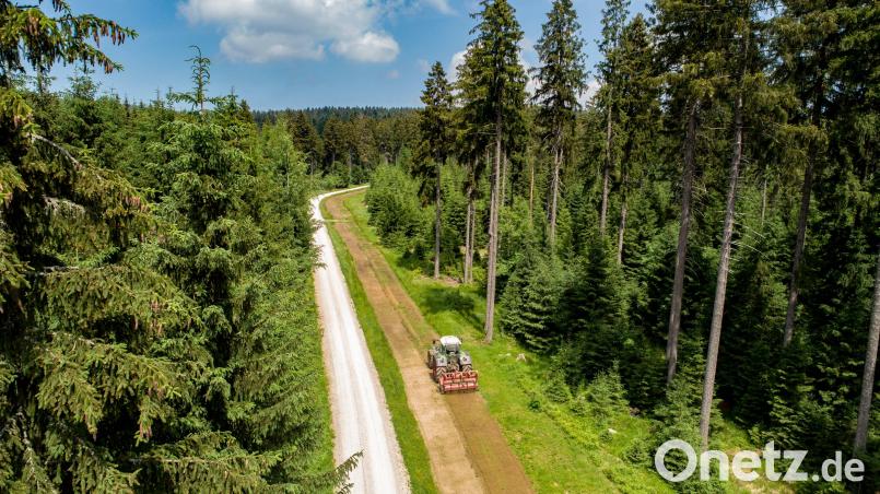 Im Winter verläuft hier die Loipe vom Grundstein zum Wendelin - jetzt legen die Bayerischen Staatsforsten einen Blühstreifen an. Beitrag, Externer [EXB] (<a href=