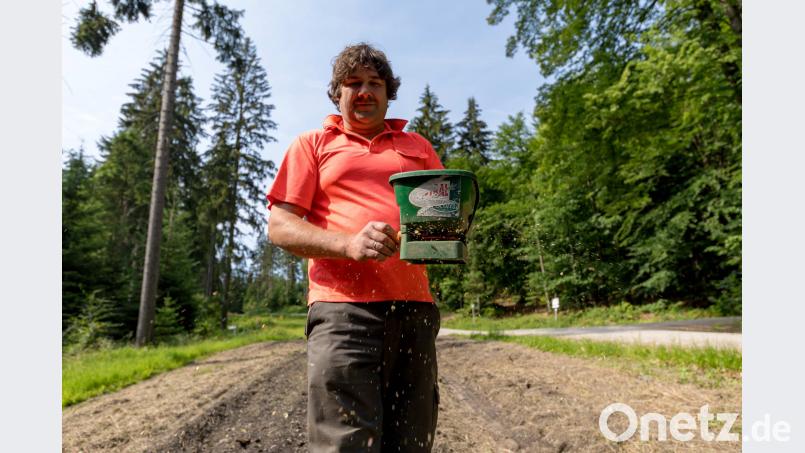 Oliver Müller, Landwirt aus Fleckl, sät im Auftrag des Forstbetriebs Fichtelberg eine Blühwiese im Staatswald bei Grünstein. Beitrag, Externer [EXB] (<a href=