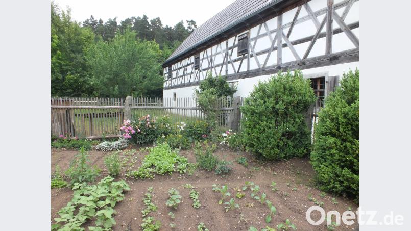 Unter anderem mit solchen Bauerngärten will das Freilandmuseum das Interesse an der Natur wecken. Harald Mohr