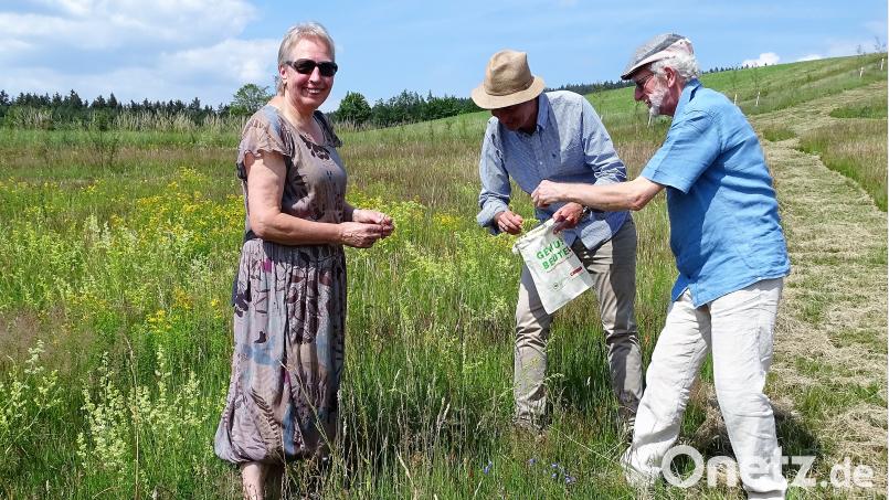 Viel zu erkunden: Dr. Markus Strauß von der Stiftung Essbare Wildpflanzenparks (Mitte) führte interessierte Gäste über den ersten Teil des Pfades. hl