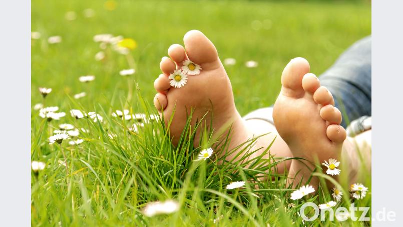 Glücksforscher haben längst herausgefunden: Schon allein Pflanzen anzuschauen wirkt beruhigend, senkt den Blutdruck – und lindert sogar Schmerzen. Bild: stock.adobe.com/Kathrin39