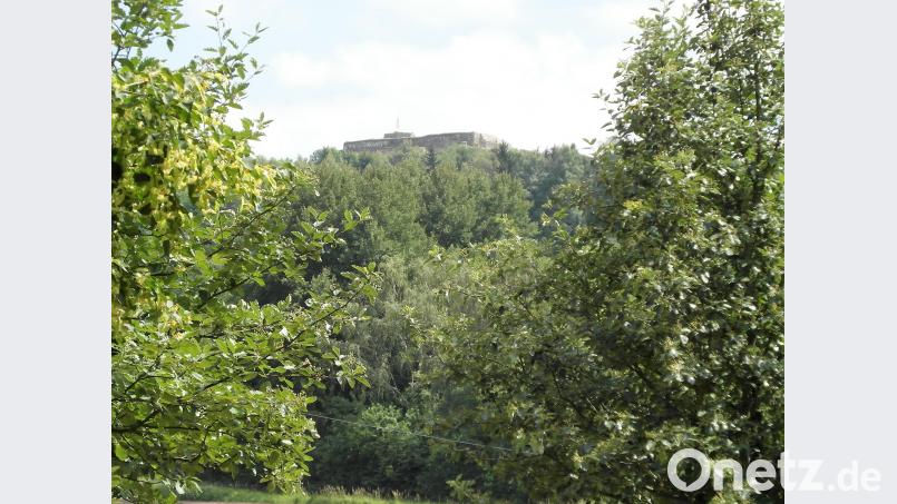 Viel zu erkunden: Dr. Markus Strauß von der Stiftung Essbare Wildpflanzenparks (Mitte) führte interessierte Gäste über den ersten Teil des Pfades. hl
