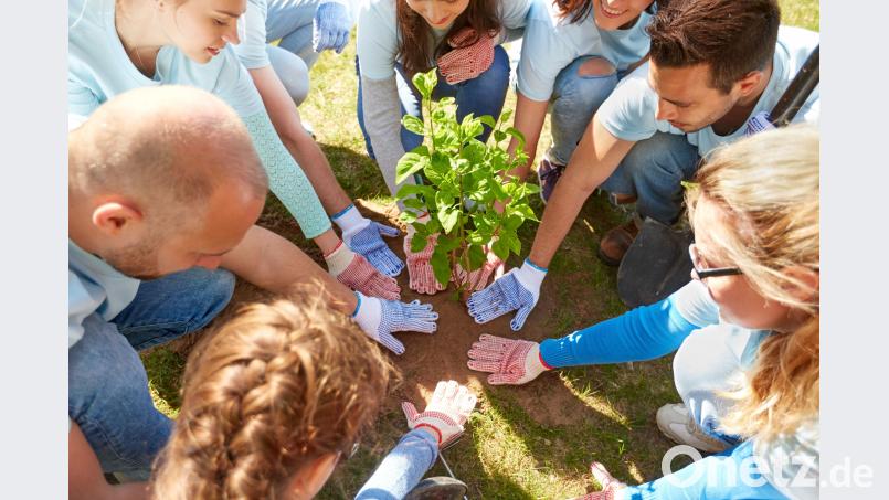 Das Gehirn belohnt selbstlose Handlungen mit Wohlgefühlen ähnlich denen, die durch Drogen, Sex oder gutes Essen ausgelöst werden können.  Syda Productions – stock.adobe.com