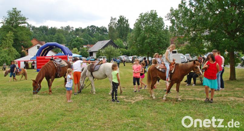 Für die Kinder ist das Reiten eine  Attraktion. enz